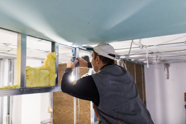 Insulation Repair Services in East Petersburg, PA